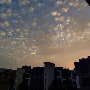 亚洲午夜福利一级无码
