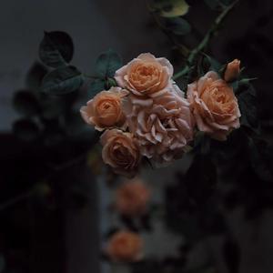 亚洲午夜福利一级无码
