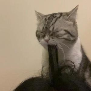 亚洲午夜福利一级无码
